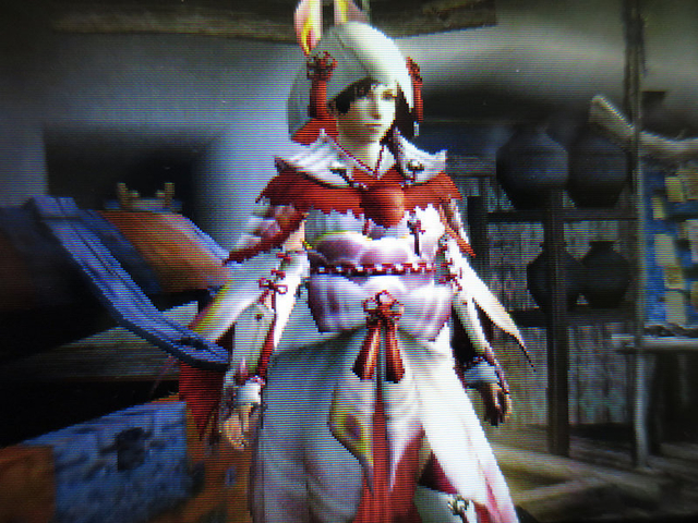 【モンハンダブルクロス(MHXX)】かわいい ...